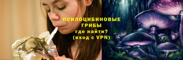 мяу мяу мука Елабуга