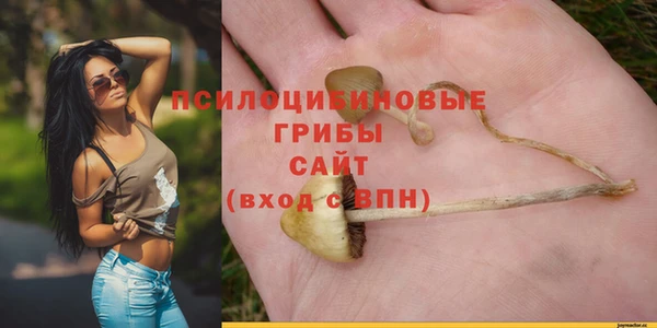 стафф Елизово