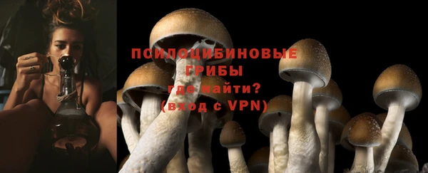 стафф Елизово