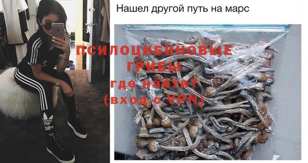 каннабис Ельня