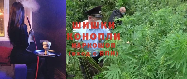мяу мяу мука Елабуга