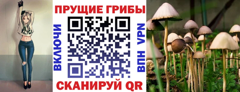 Купить закладки  Иланский  Псилоцибиновые грибы Psilocybe 